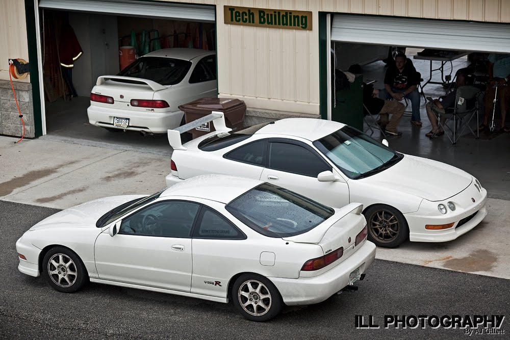 [Image: IMG_5792resized.jpg]