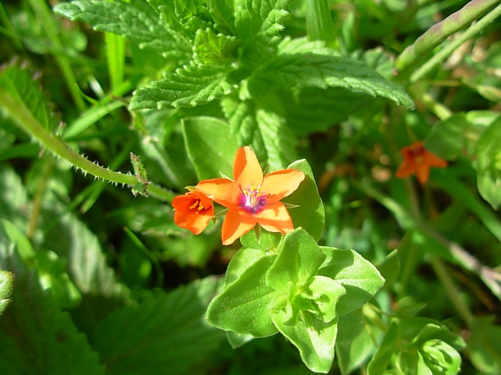 [DSCN0029.JPG]