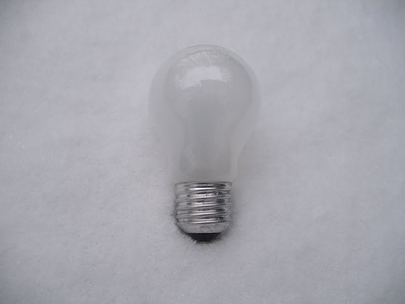 [bulb.jpg]
