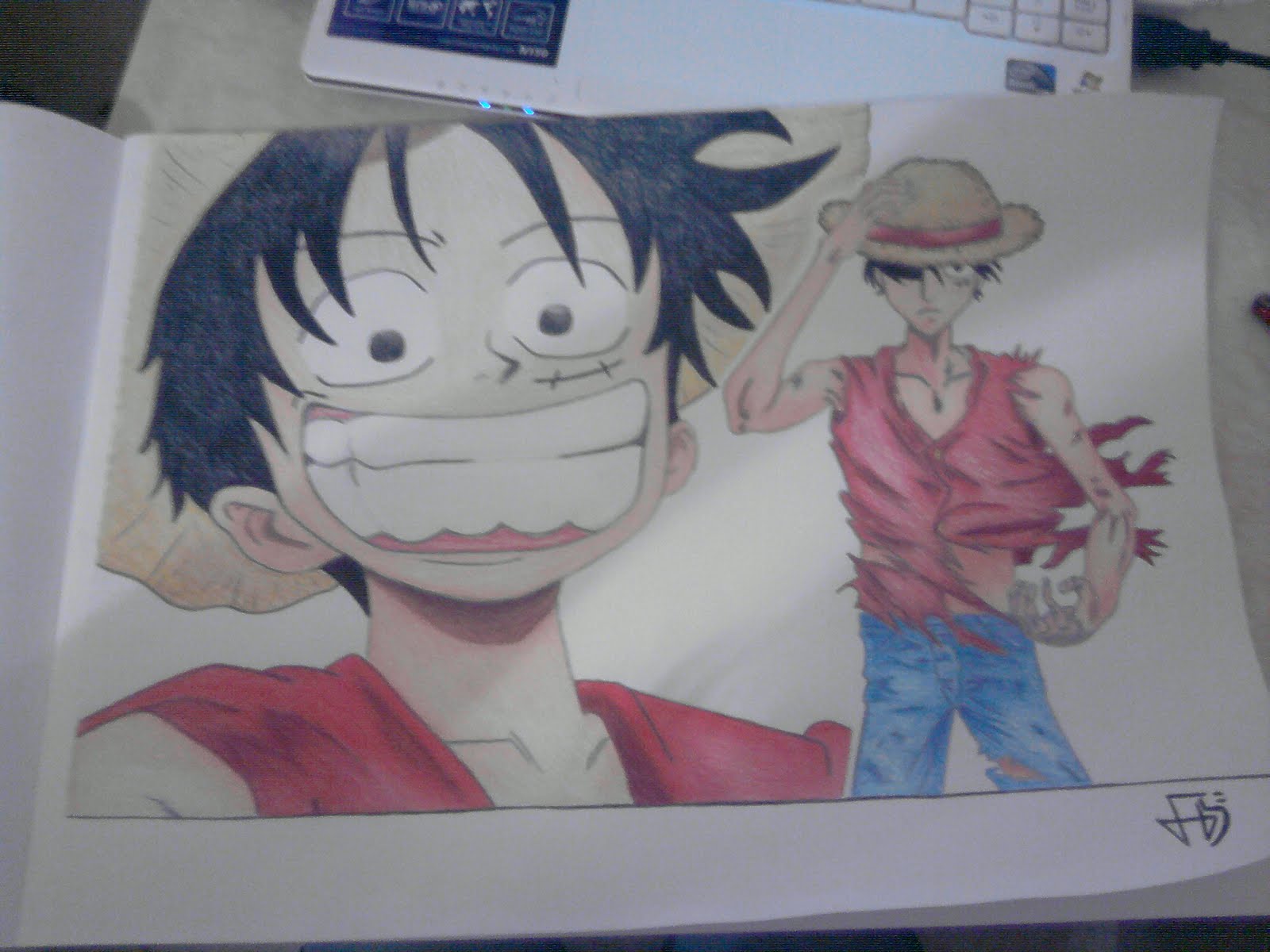 luffy luffy