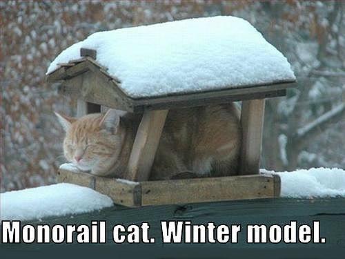 Cat In Winter. 2011 eeten by monorail cat?