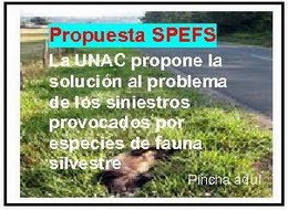 Conoce: Propuesta SPEFS