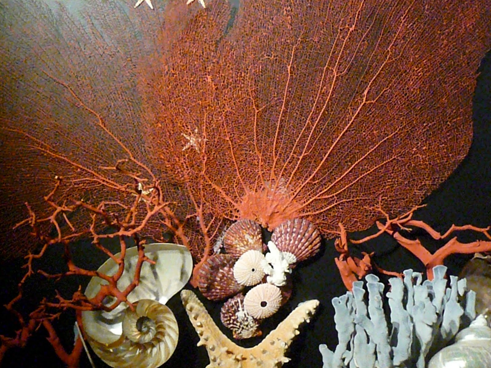 [L1040825.JPG]