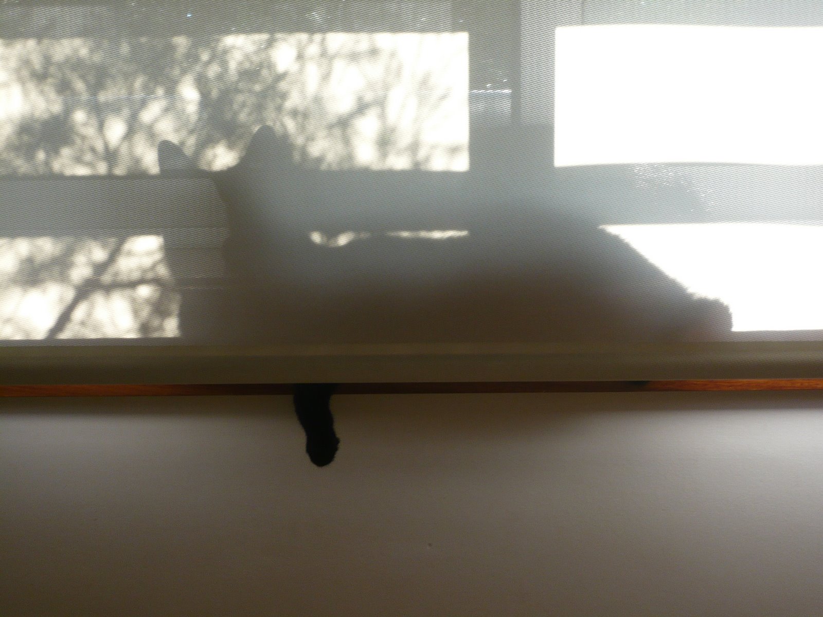 [L1030894.JPG]