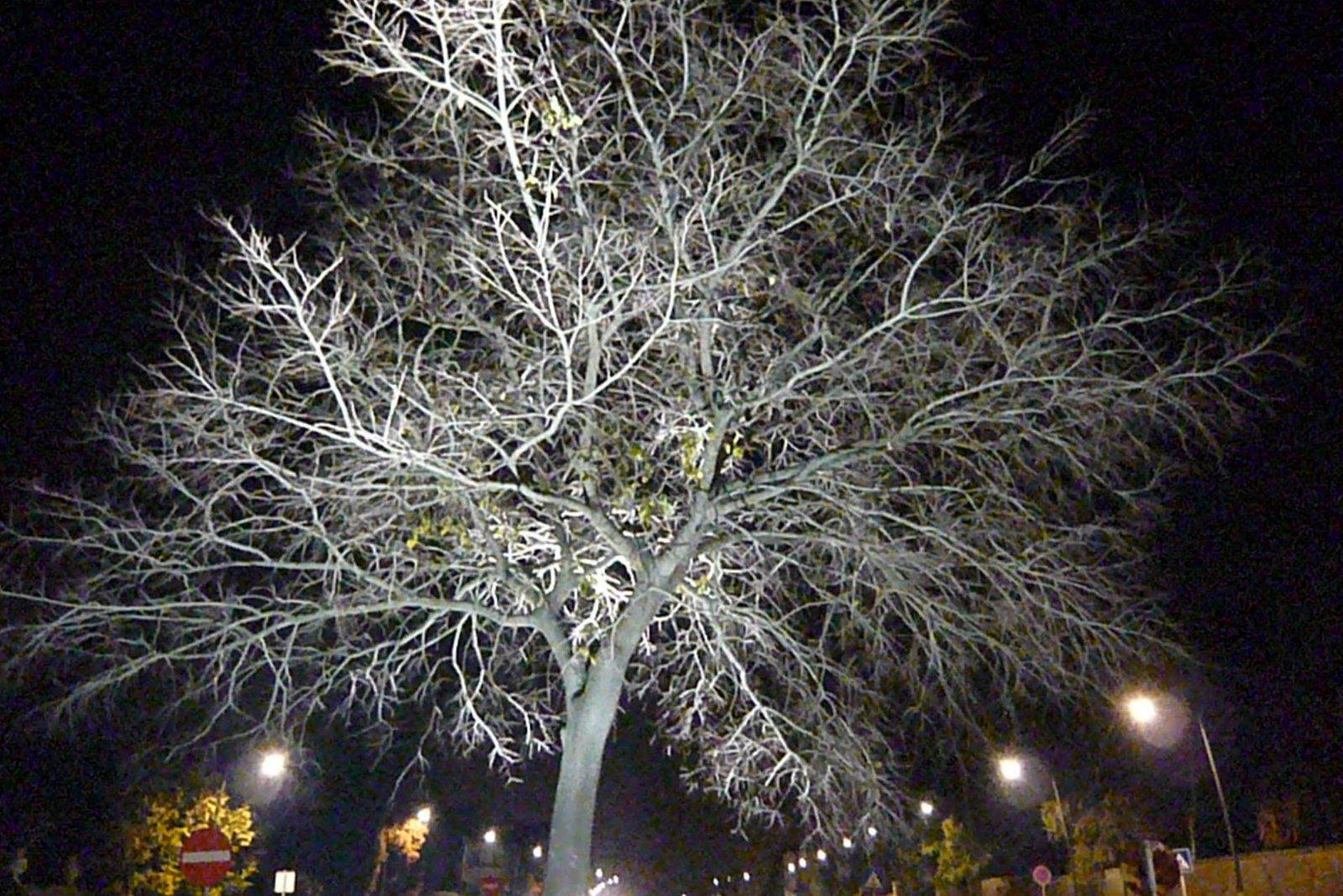 [L1040346.JPG]