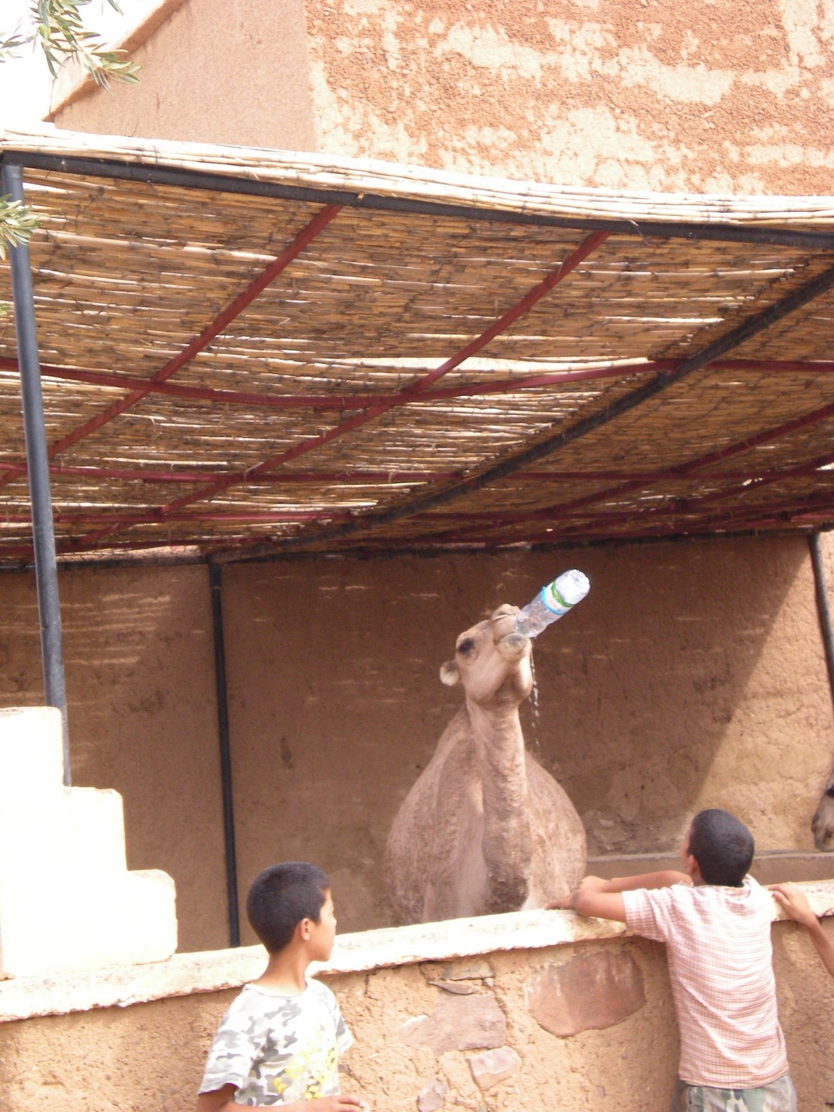 [DSCN0091.JPG]