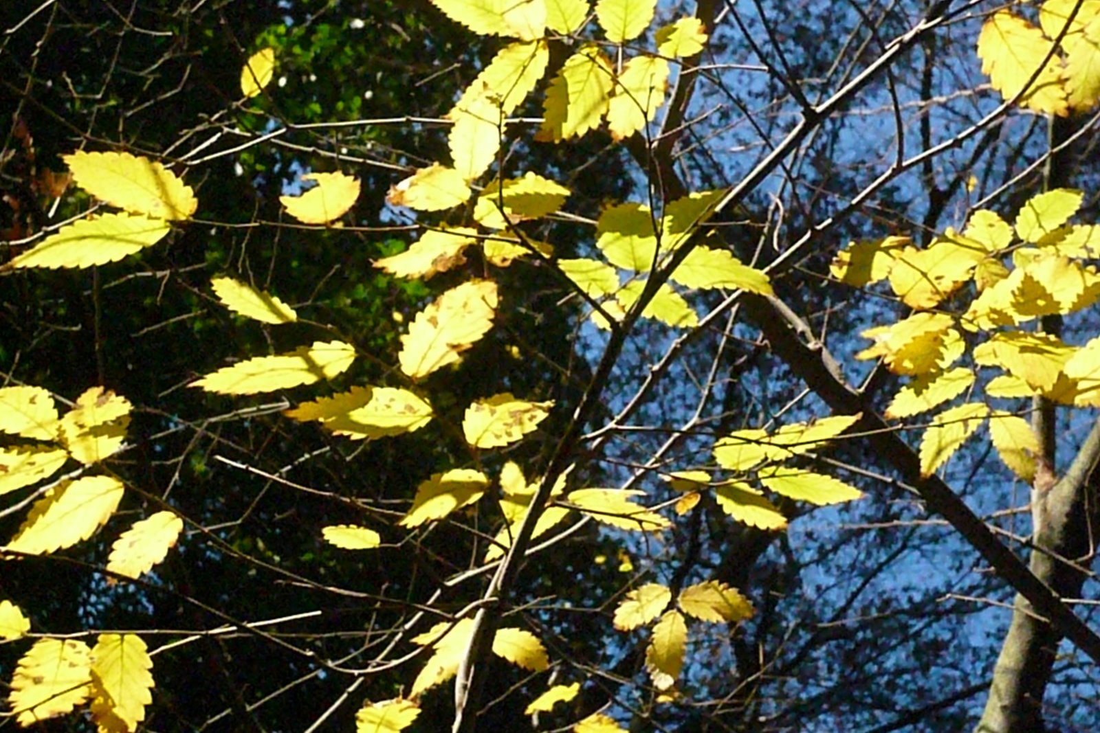 [L1040690.JPG]