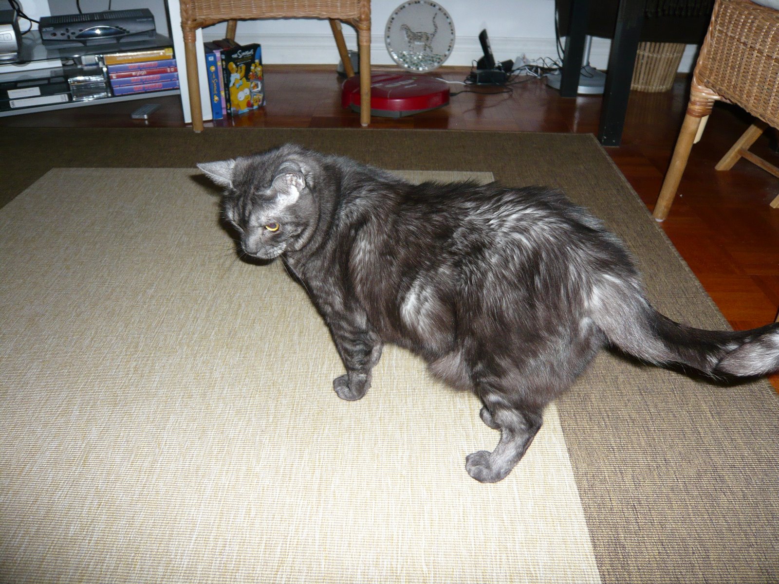 [L1060037.JPG]