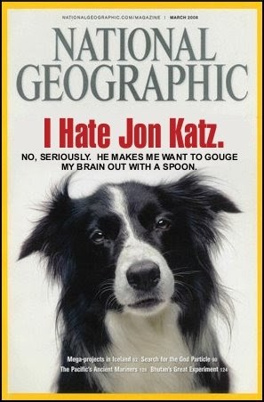 Can You Bring Dogs Into Barnes And Noble Can You Bring Dogs Into Barnes And Noble