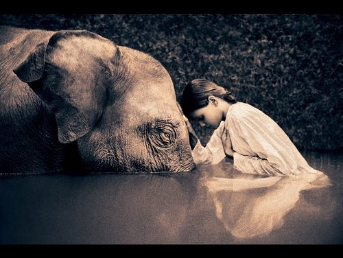 Gregory Colbert : Ashes and Snow -  3 Ashes+and+snow+1