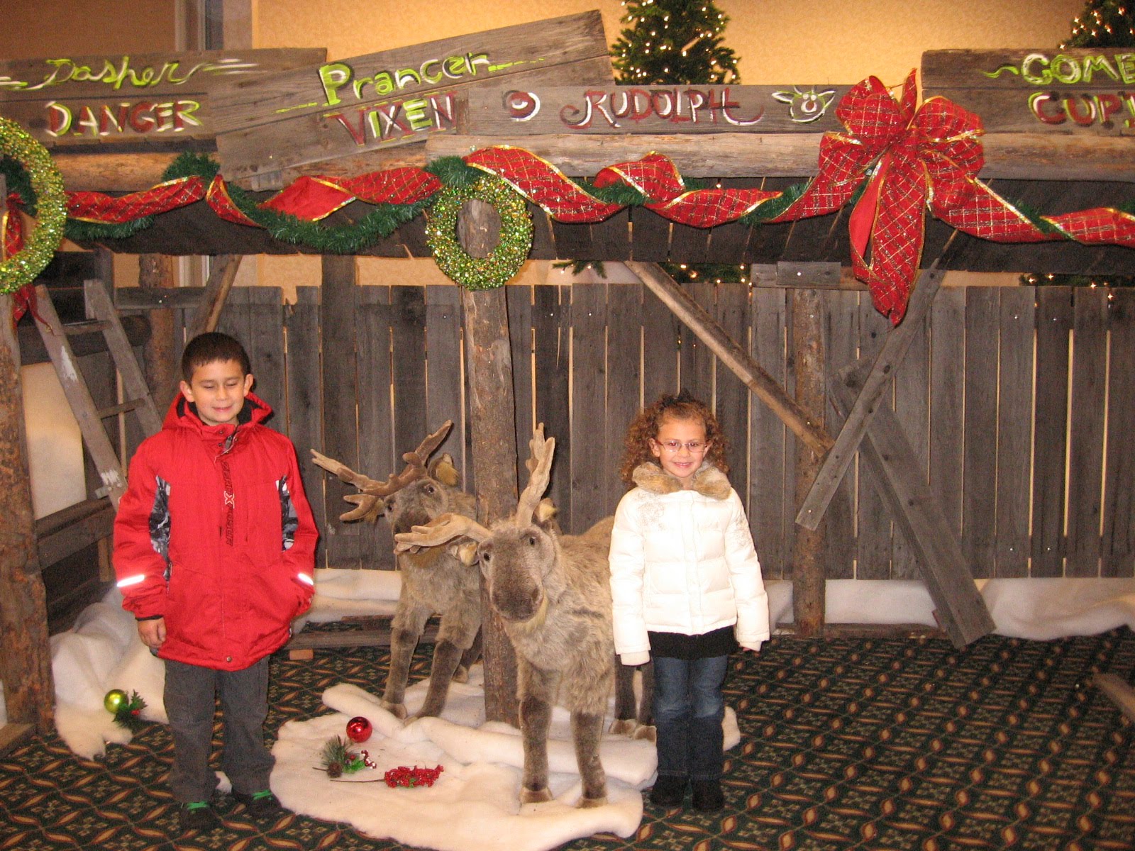 The Pimentel Family The Festival of Trees In Boise