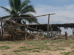 Damage in Tenacatita