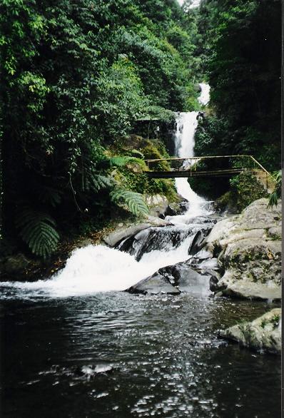 [Bali+Reisen+Wasserfall+2.JPG]