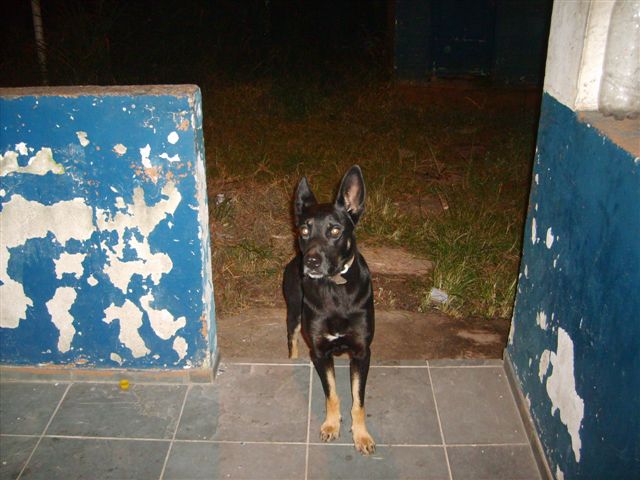 [S5000453.JPG]