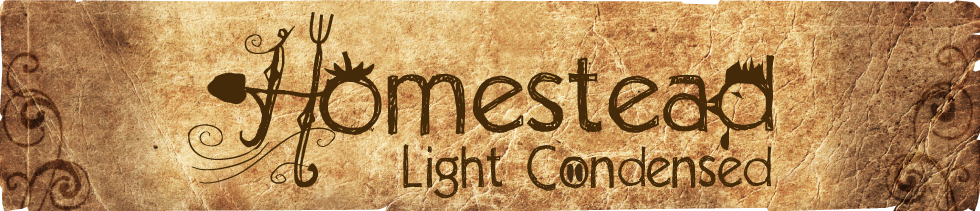 Homestead Light Condensed