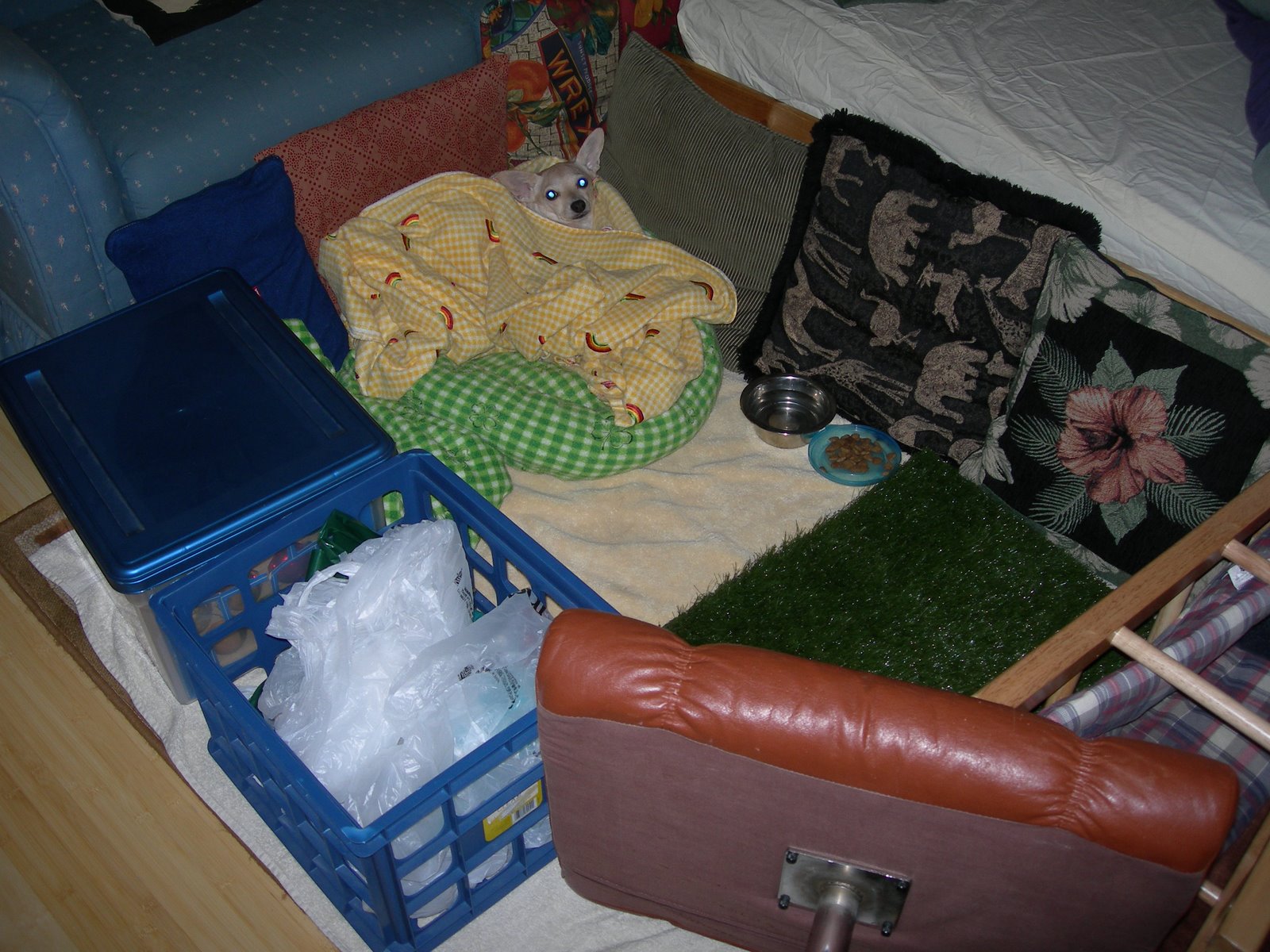[DSCN3059.JPG]