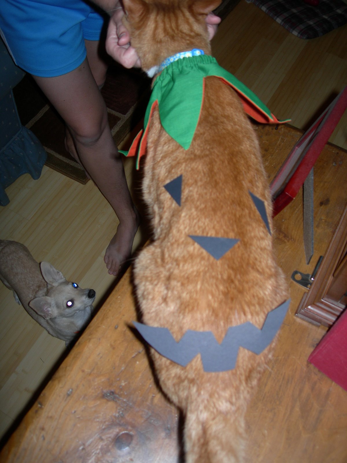 [DSCN2944.JPG]