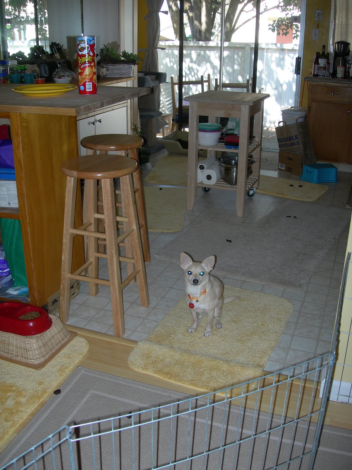 [DSCN3250.JPG]
