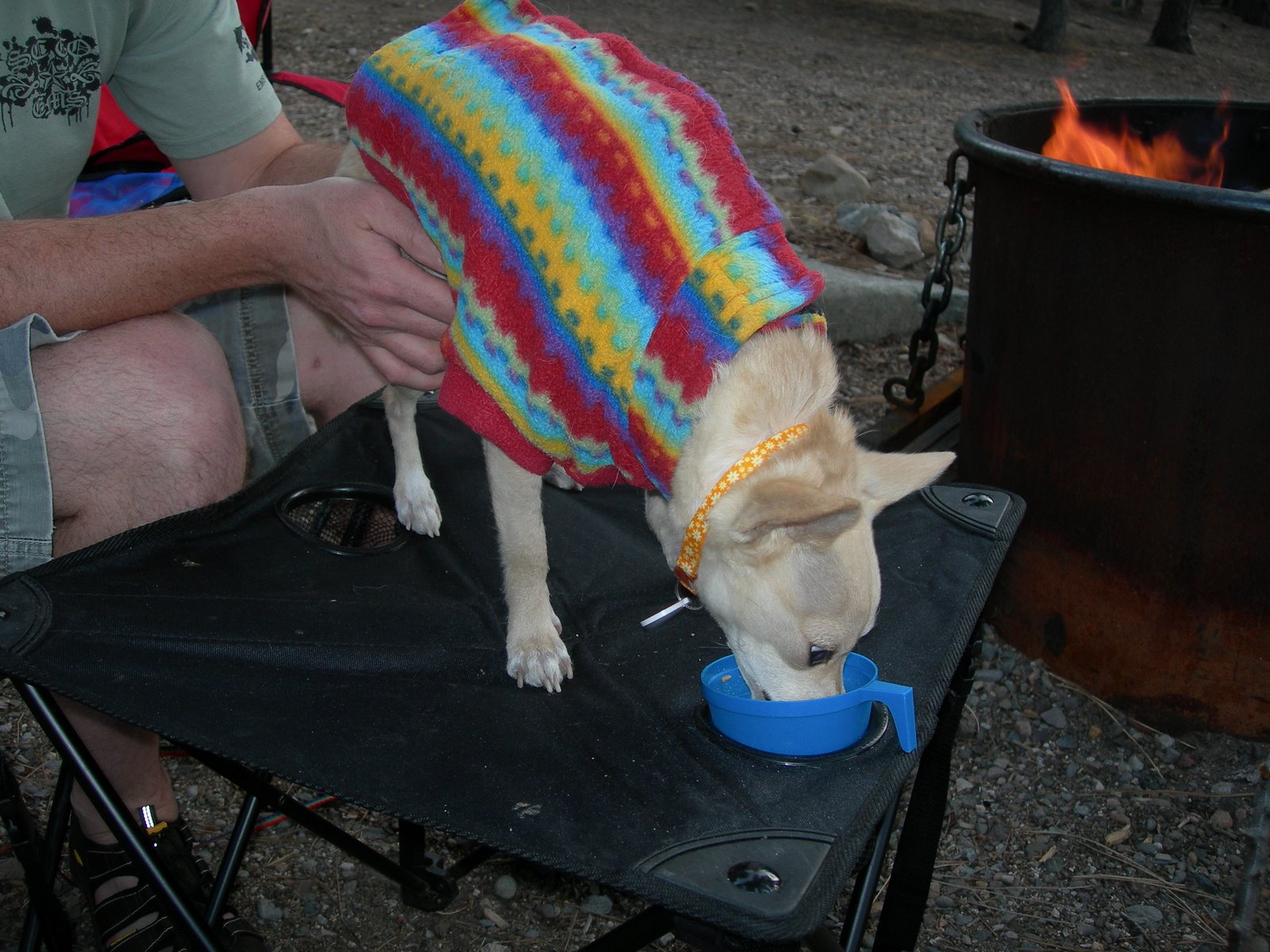 [DSCN3392.JPG]