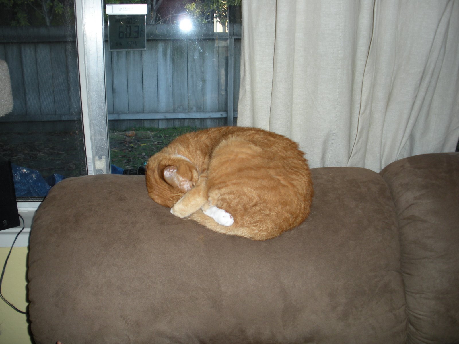 [DSCN0128.JPG]