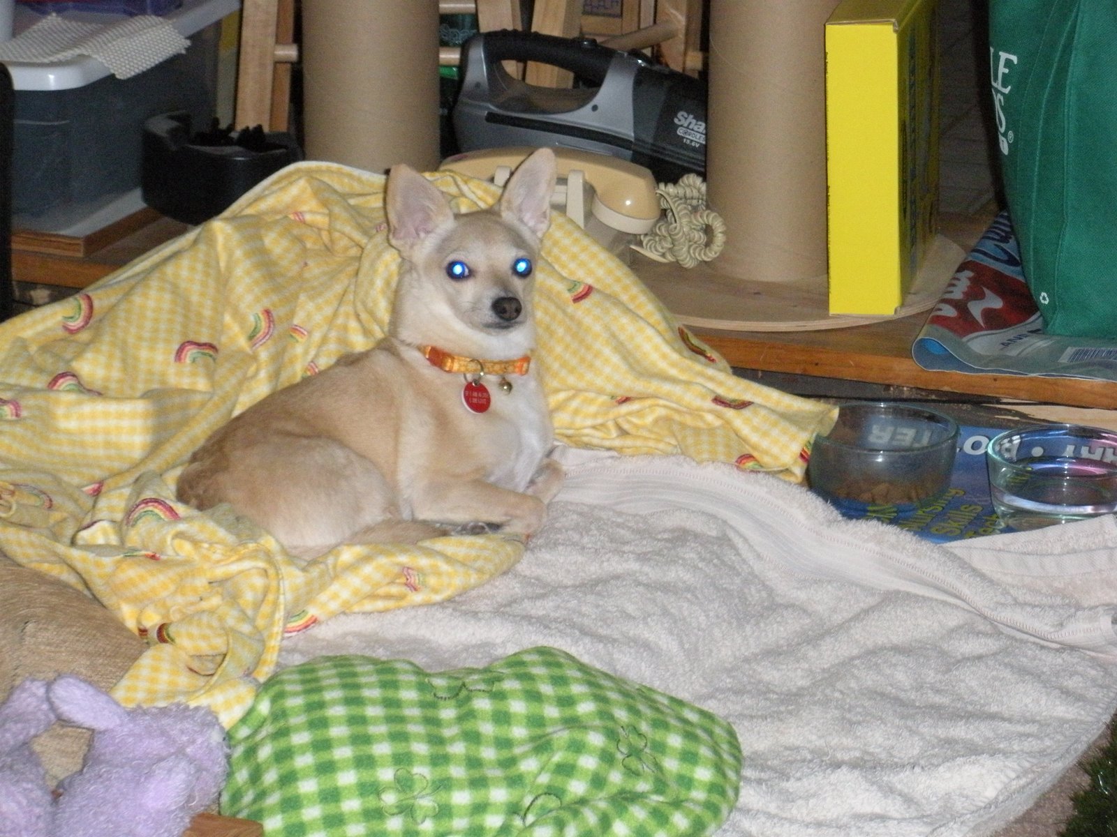 [DSCN0524.JPG]