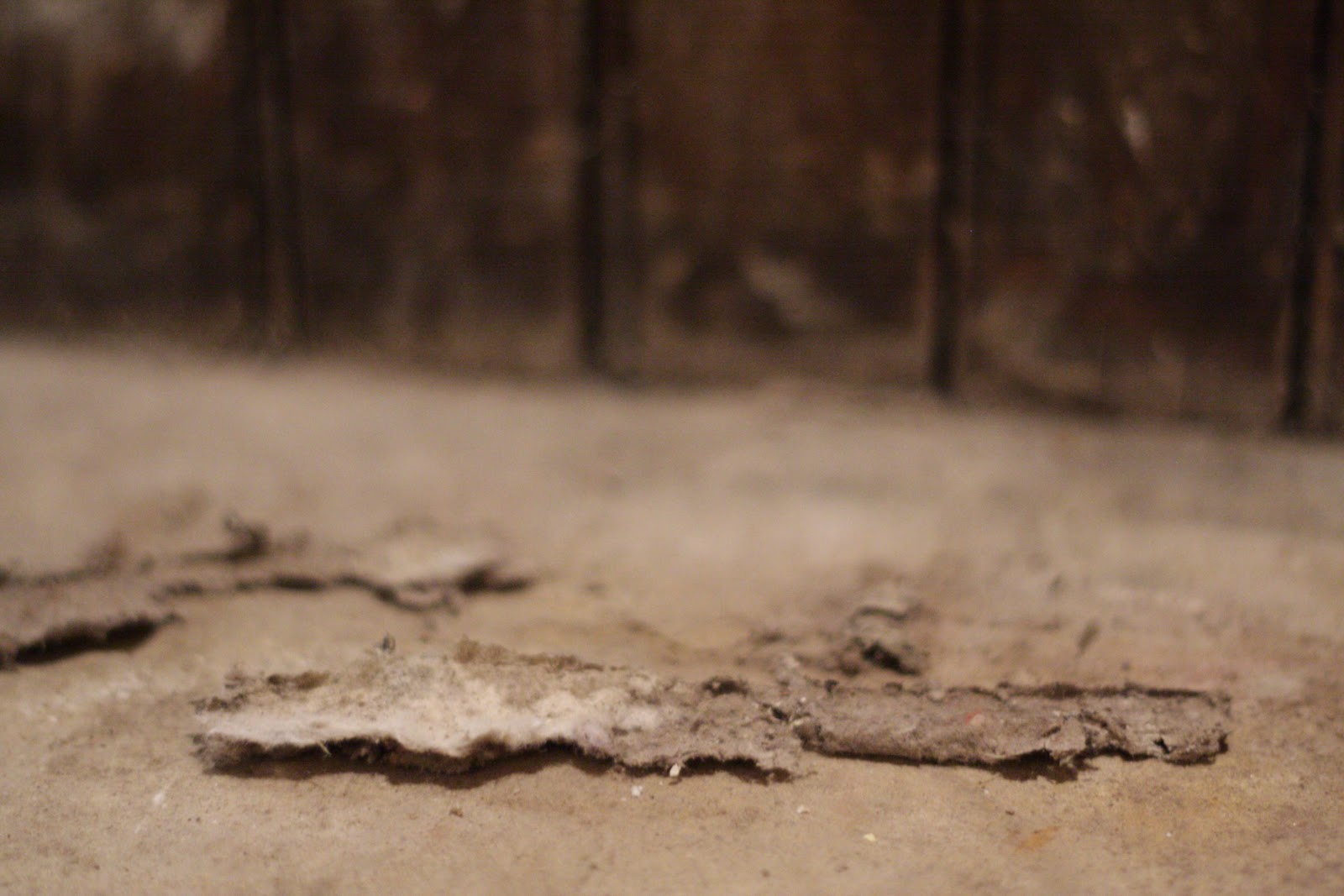 Wallpaper Underlayment hd wallon