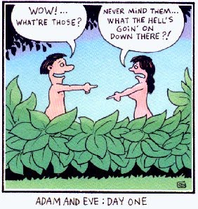 [Adam&Eve....jpg]