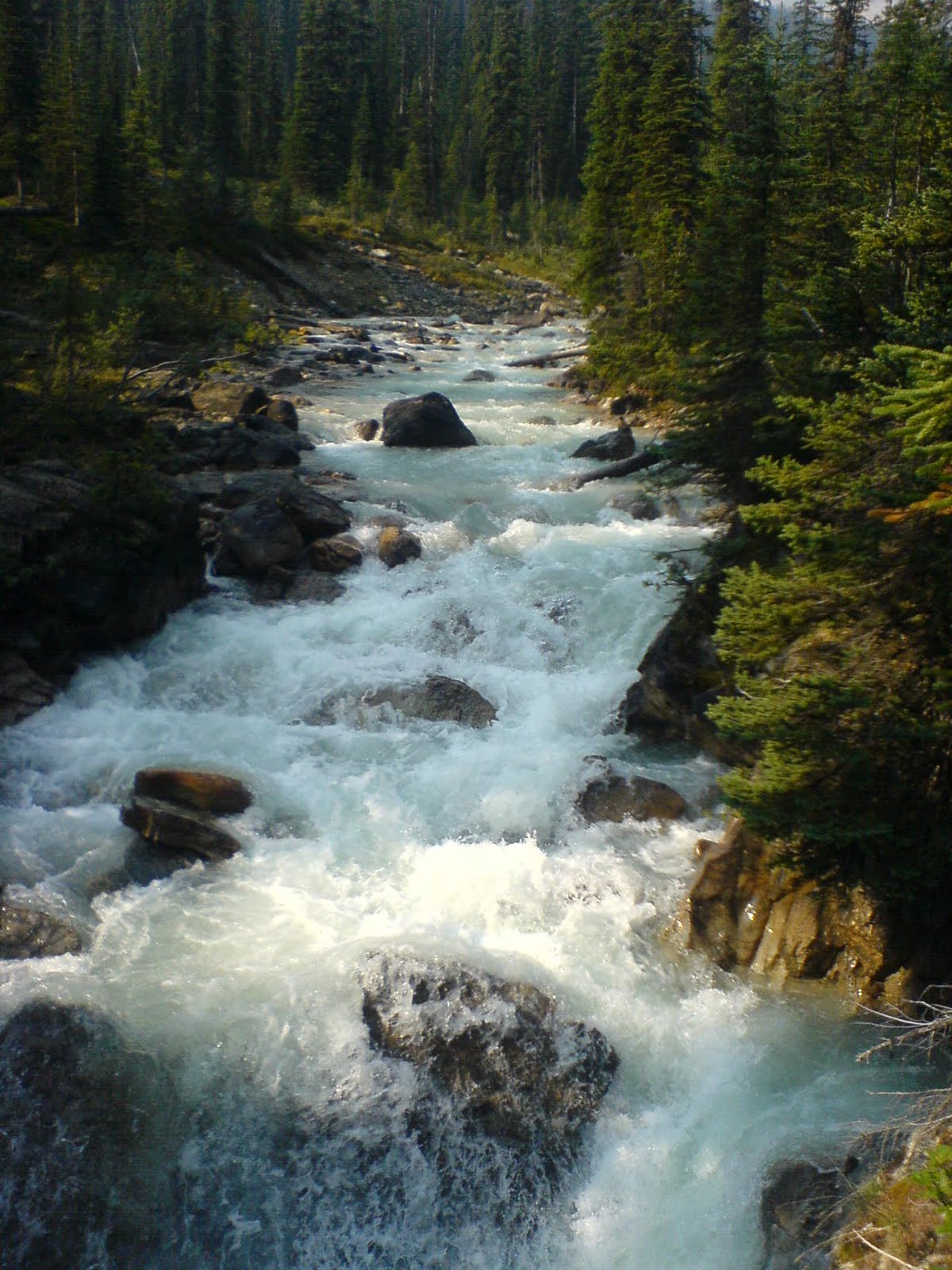 [DSC03140.JPG]