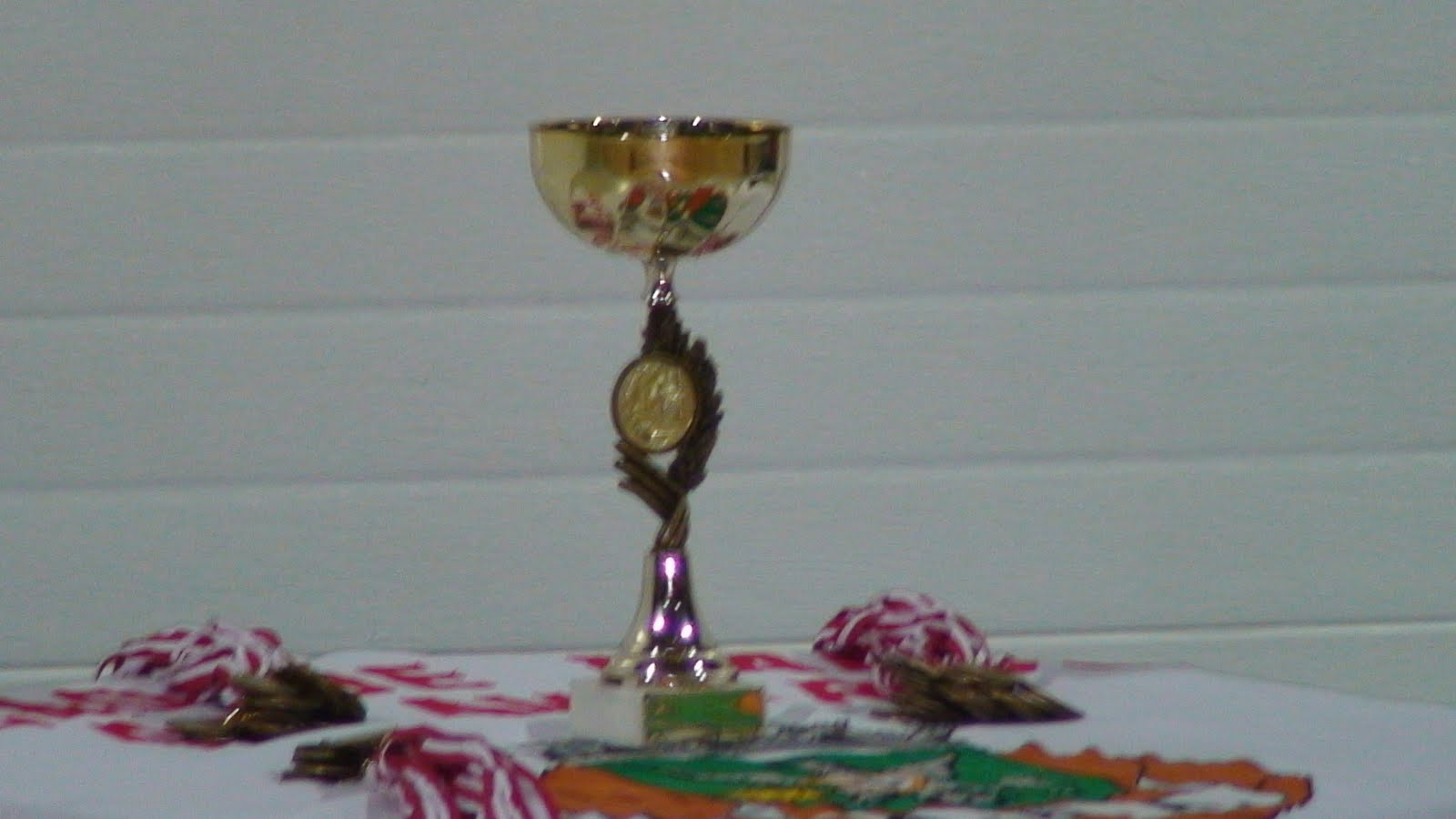 [DSC09834.JPG]