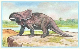 PROTOCERATOPS