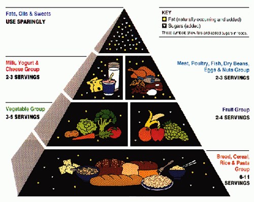 6 food groups pyramid. six food groups pyramid. 6