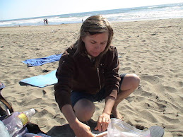 At the beach in Bodega Bay