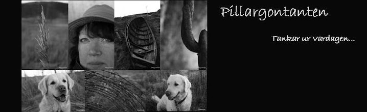 Pillargontanten