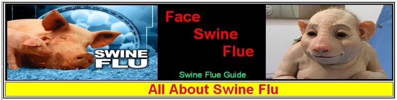 All About Swine Flu