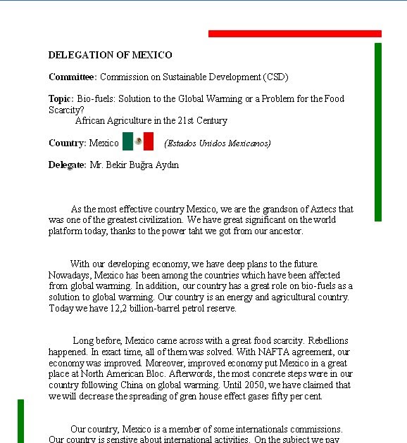 Position paper examples 20 1