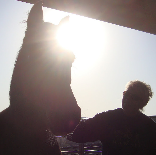 Shirley petting on the untouchable Jubilee