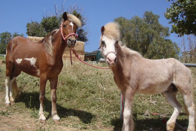 Princess Lea-ADOPTED!, Smurf - ADOPTED!