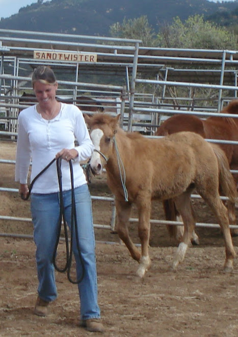 Volunteer Laura with Rocket