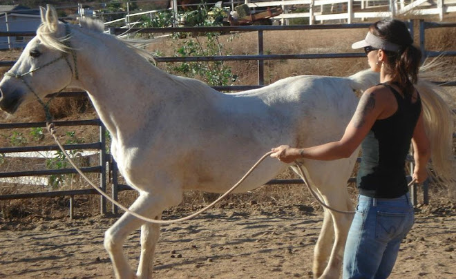 Volunteer Candace with Casper