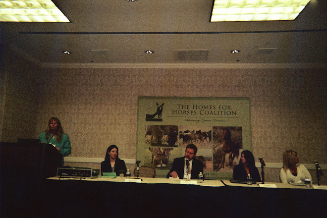 2009 Homes For Horses Conference, Las Vegas