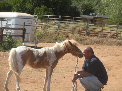 Trinket with volunteer Kona