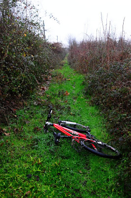  BBK44825BDesktopResolution5D