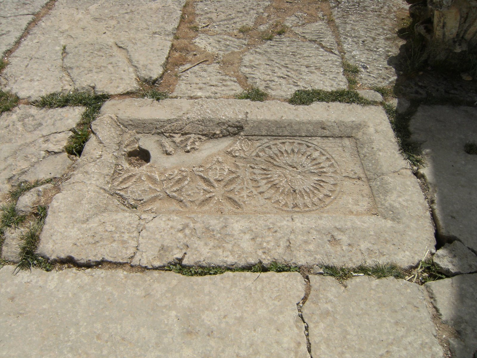 [DSCF1614.JPG]