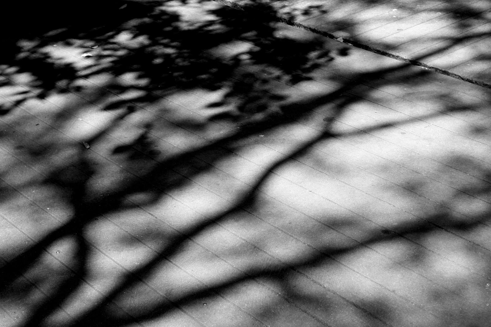 [IMG_0388.JPG]