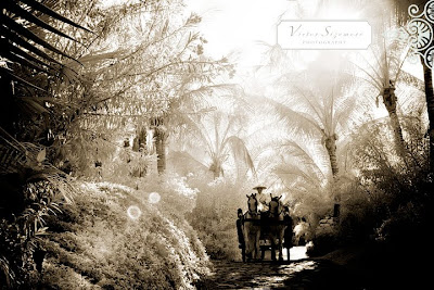 Simply Sepia - Zenadia Design