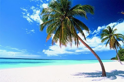 Q PROVINCIA PERTENECE ISLA CABRERA q provincia pertenece isla cabrera: