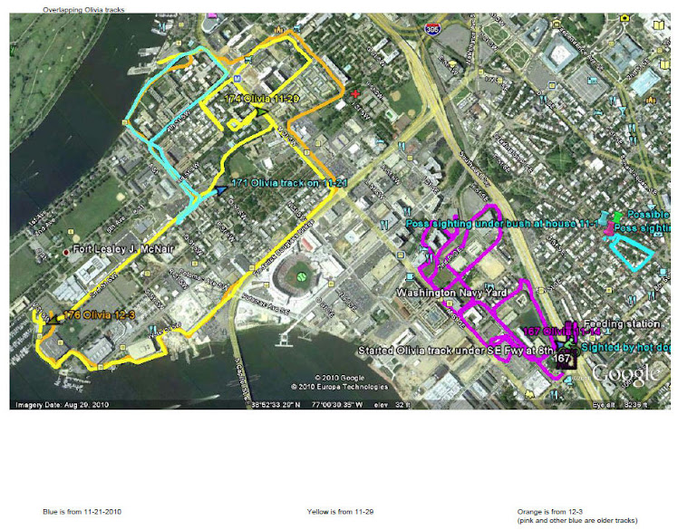 Overlay of All Tracks to Date