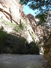 Zion Riverside Trail looking down the Narrows