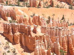 Hoodoos Bryce Canyon