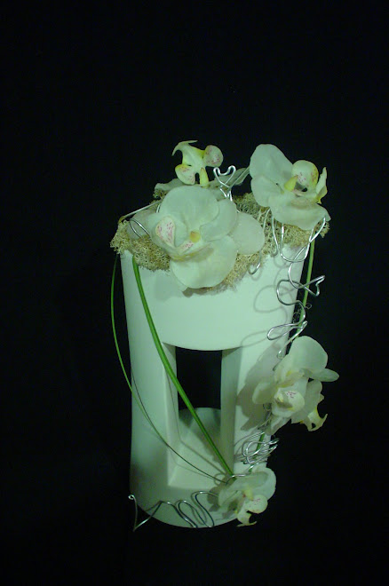 Orquideas